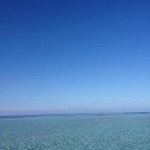 Meet your Posher, Kimmie